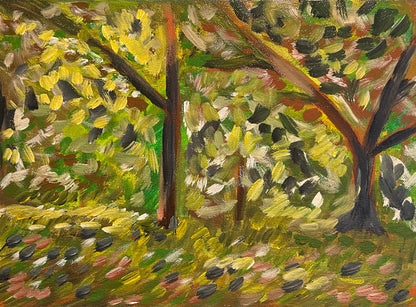 Windy Lake - Umbrella